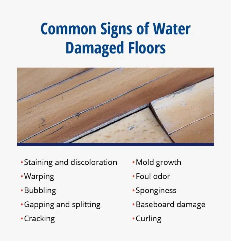 How To Identify Floor Water Damage2